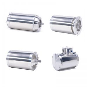 stainless steel motor tenv