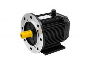 PMSM series PM motor