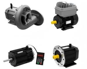 permanent magnet motor(1)